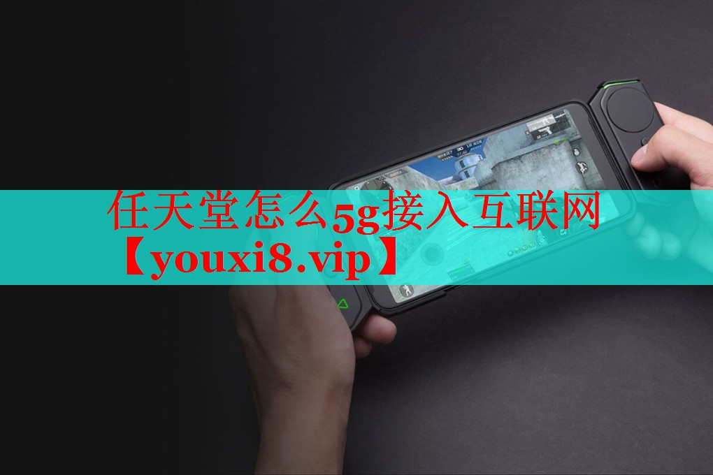 任天堂怎么5g接入互联网