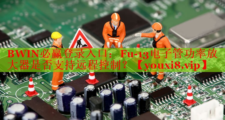 BWIN必赢登录入口：Fu-13电子管功率放大器是否支持远程控制？