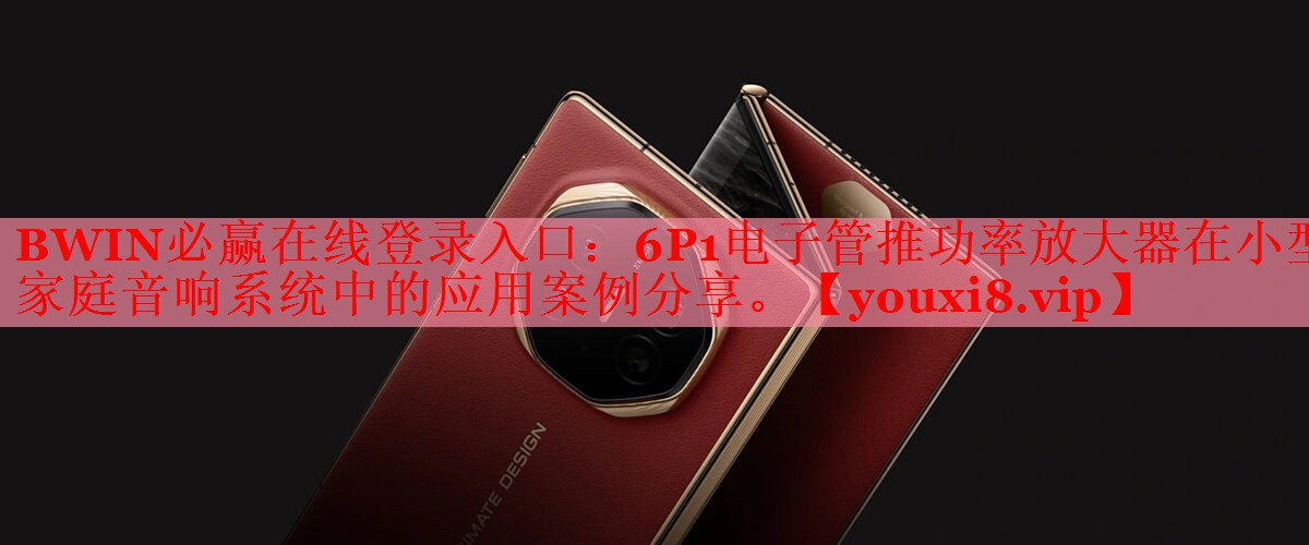 BWIN必赢在线登录入口：6P1电子管推功率放大器在小型家庭音响系统中的应用案例分享。