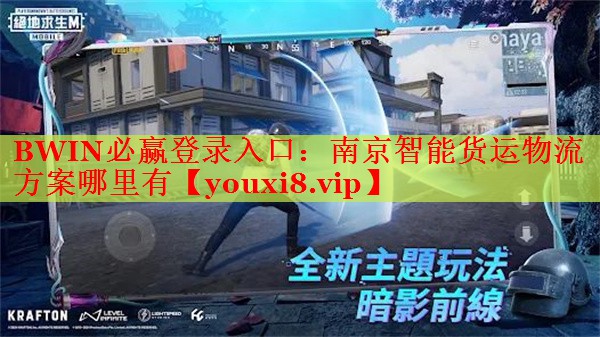 BWIN必赢登录入口：南京智能货运物流方案哪里有
