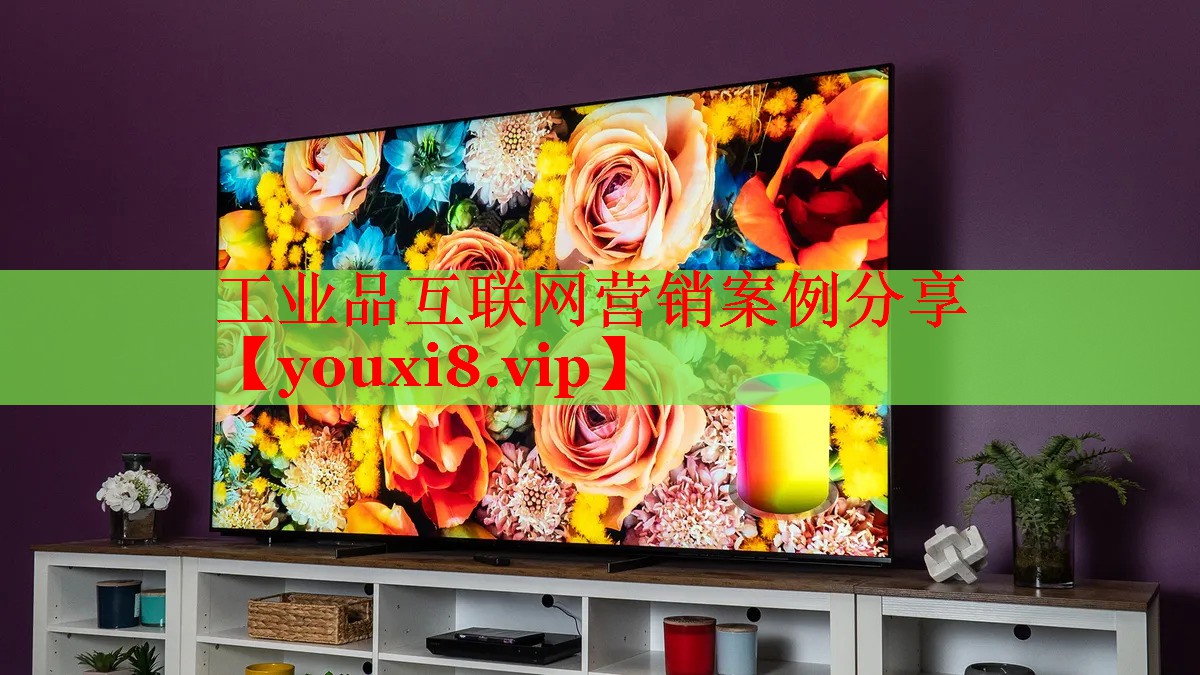 工业品互联网营销案例分享