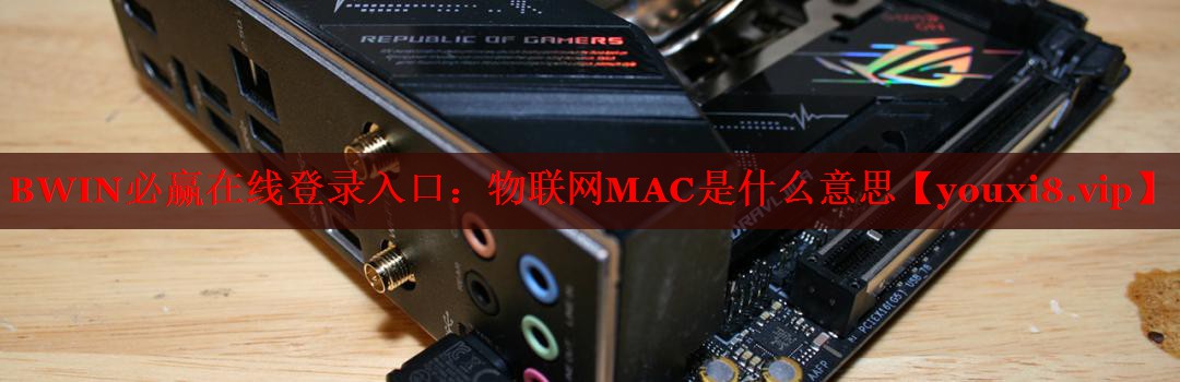 BWIN必赢在线登录入口：物联网MAC是什么意思