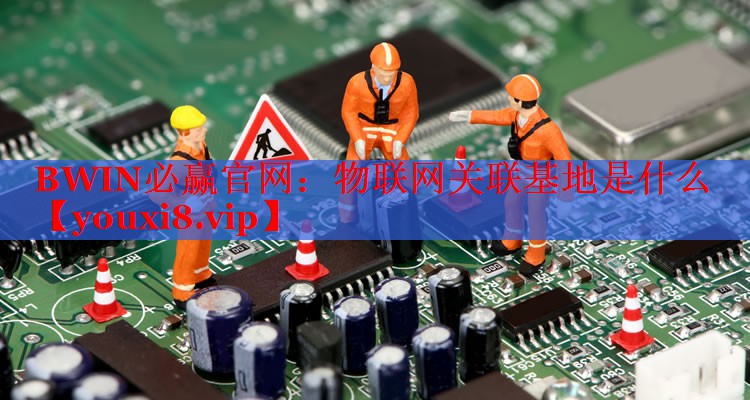 BWIN必赢官网：物联网关联基地是什么