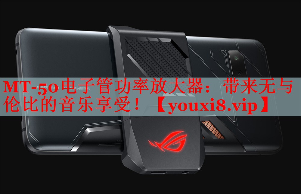 MT-50电子管功率放大器：带来无与伦比的音乐享受！