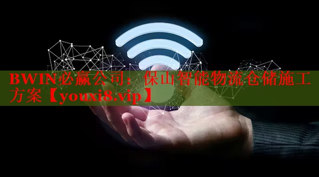 BWIN必赢公司：保山智能物流仓储施工方案