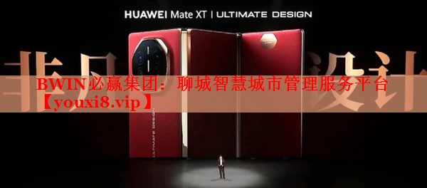 BWIN必赢集团：聊城智慧城市管理服务平台