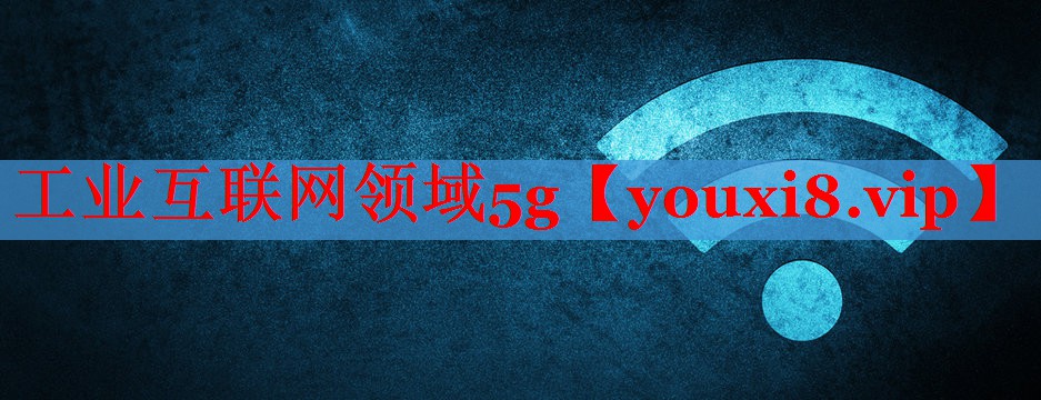 工业互联网领域5g