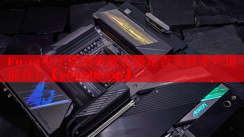 Fu-13电子管功率放大器是否支持多声道混音？