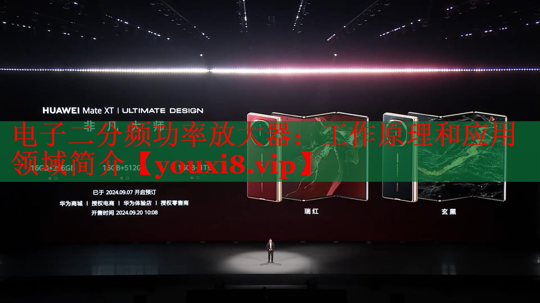 电子二分频功率放大器：工作原理和应用领域简介