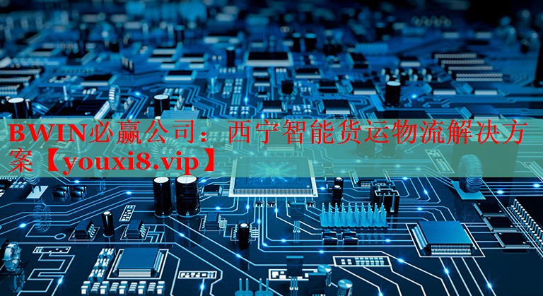 BWIN必赢公司：西宁智能货运物流解决方案