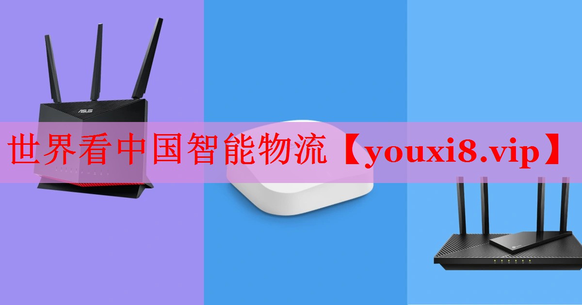 世界看中国智能物流
