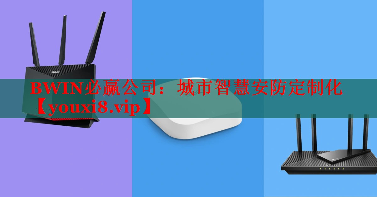 BWIN必赢公司：城市智慧安防定制化
