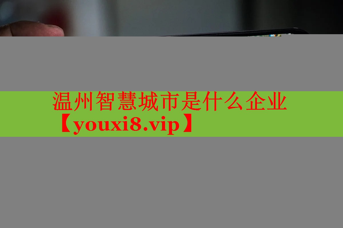温州智慧城市是什么企业