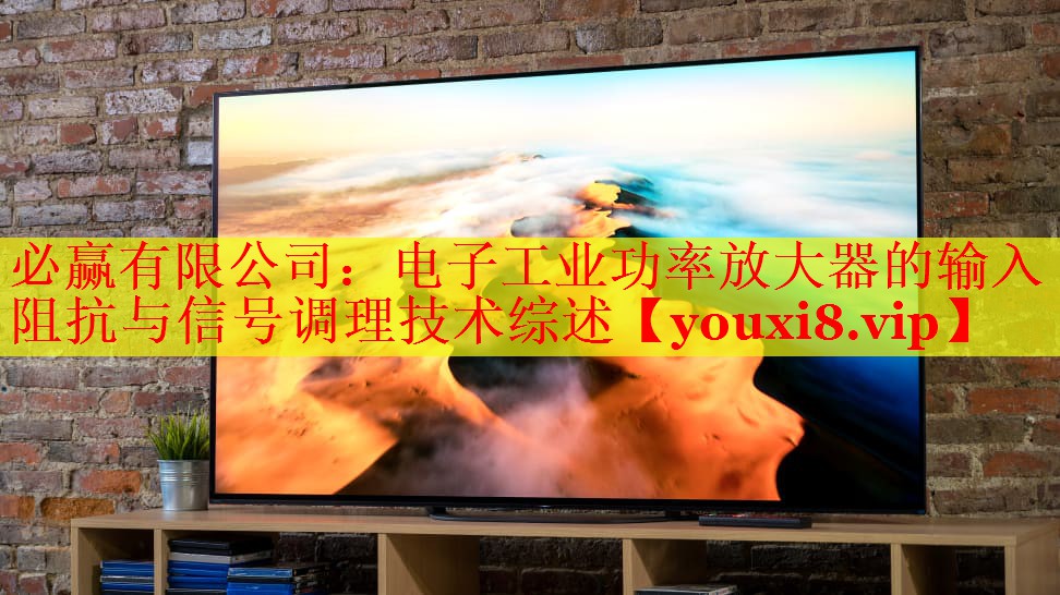 必赢有限公司：电子工业功率放大器的输入阻抗与信号调理技术综述