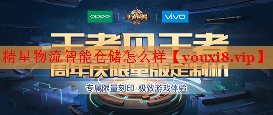 精星物流智能仓储怎么样