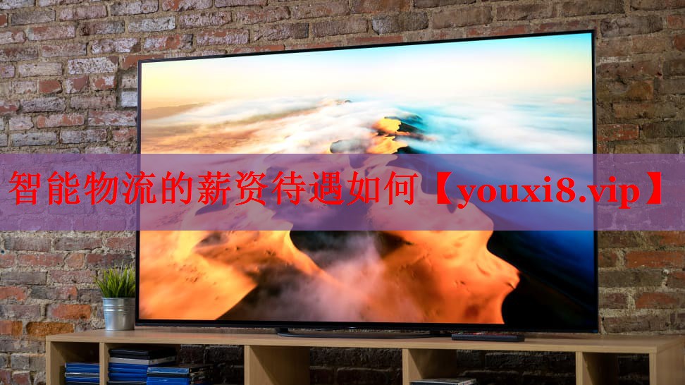 智能物流的薪资待遇如何