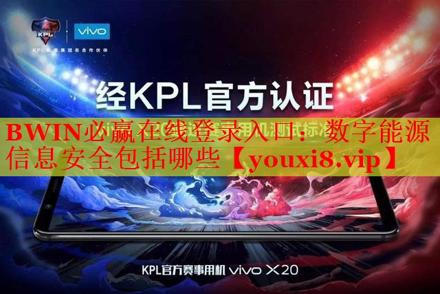 BWIN必赢在线登录入口：数字能源信息安全包括哪些