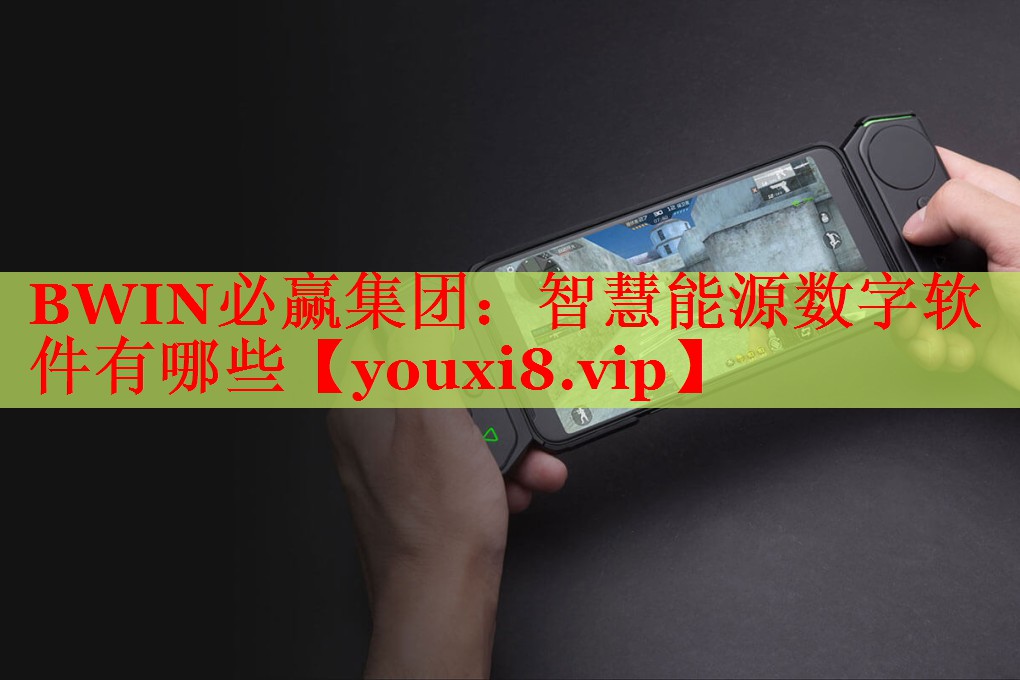 BWIN必赢集团：智慧能源数字软件有哪些