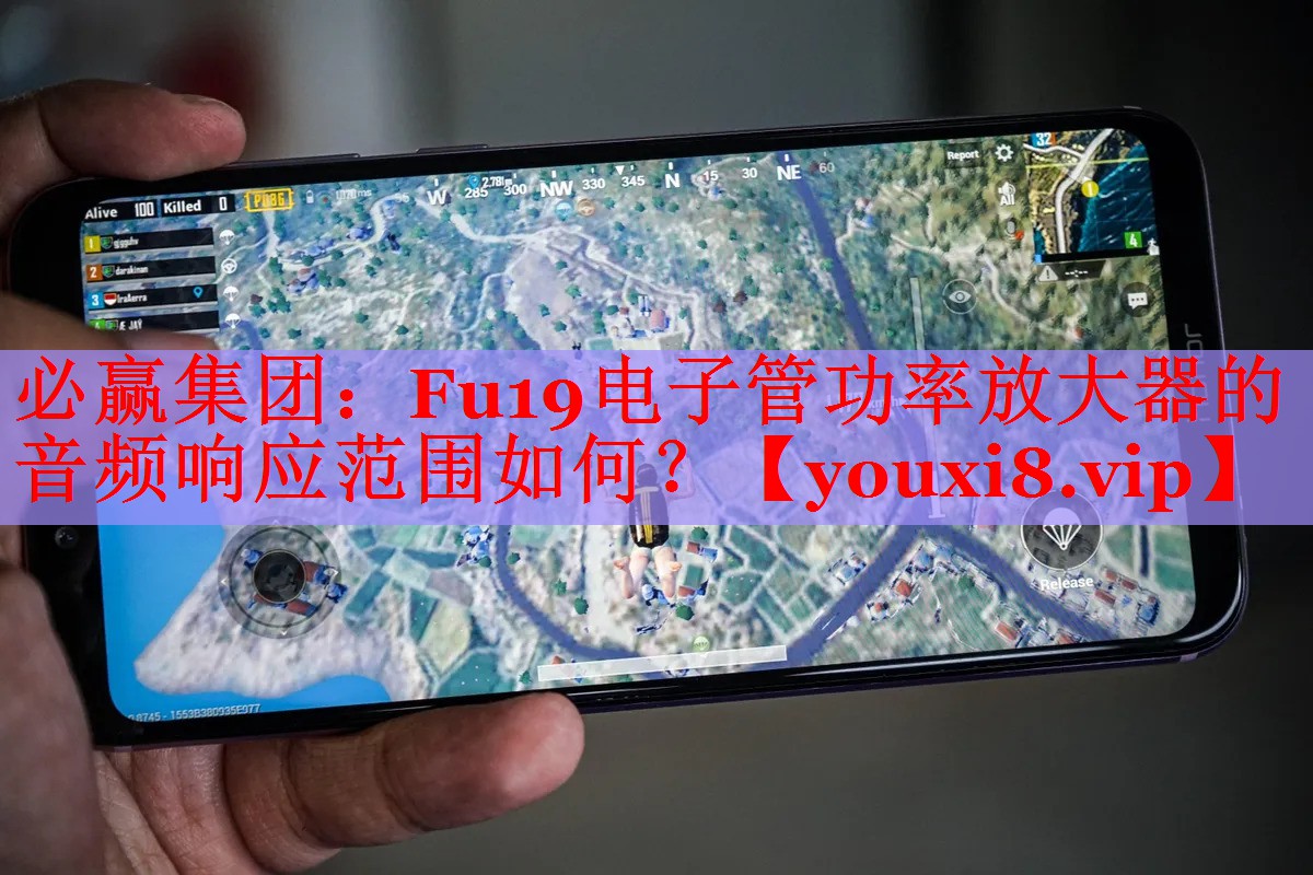 必赢集团：Fu19电子管功率放大器的音频响应范围如何？
