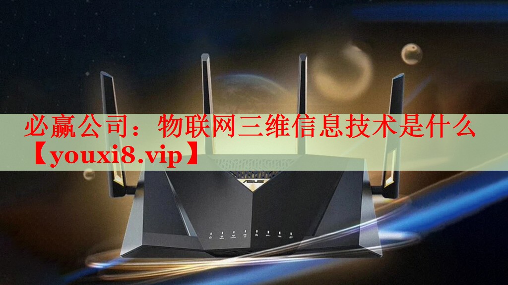 必赢公司：物联网三维信息技术是什么