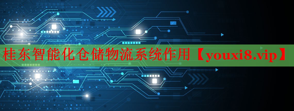 桂东智能化仓储物流系统作用