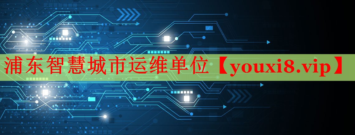 浦东智慧城市运维单位
