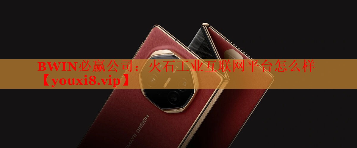 BWIN必赢公司：火石工业互联网平台怎么样