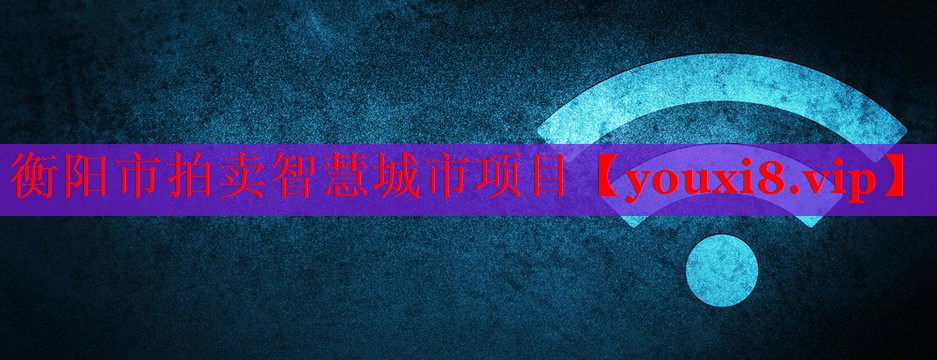 衡阳市拍卖智慧城市项目