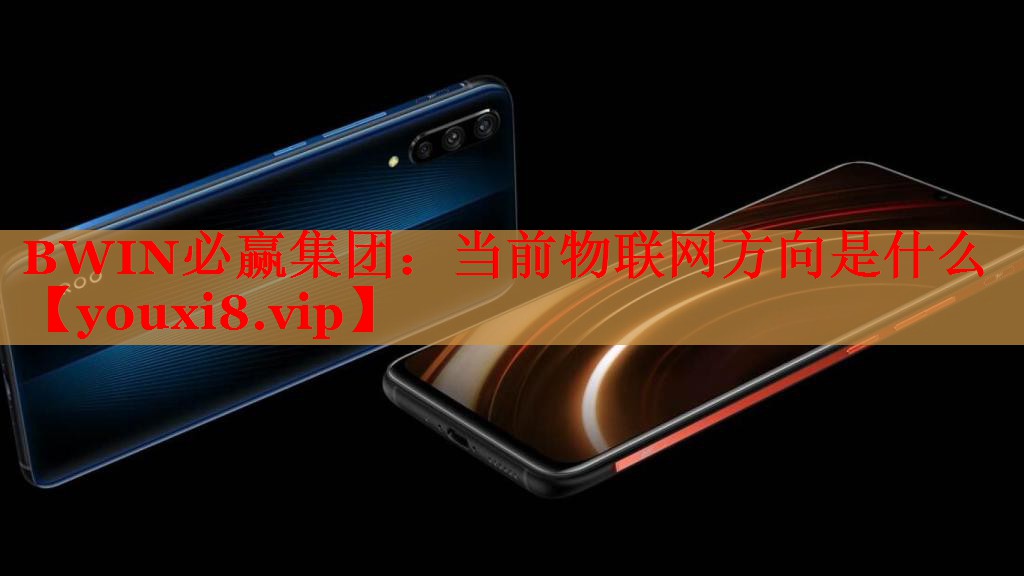 BWIN必赢集团：当前物联网方向是什么