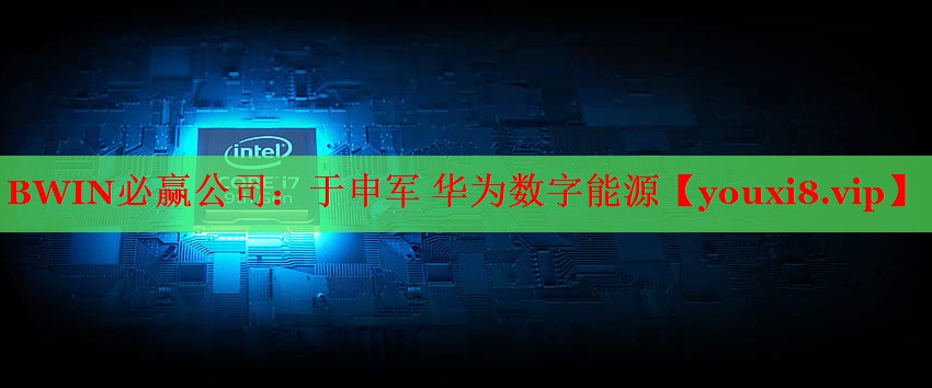 BWIN必赢公司：于申军 华为数字能源
