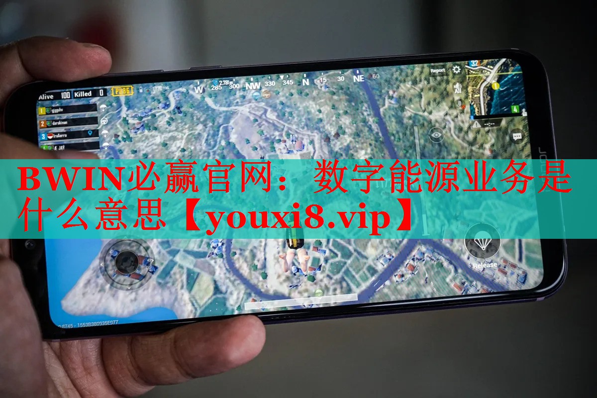 BWIN必赢官网：数字能源业务是什么意思