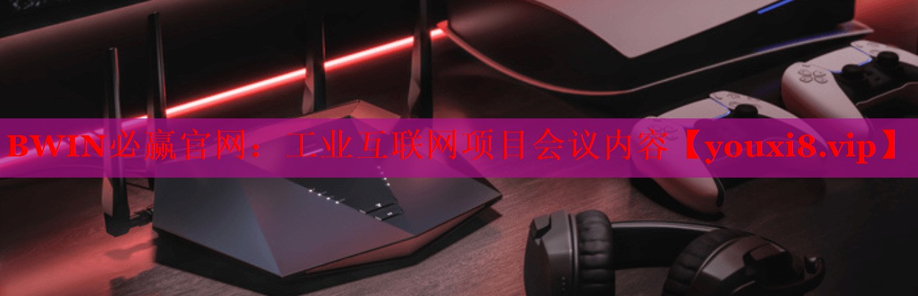 BWIN必赢官网：工业互联网项目会议内容