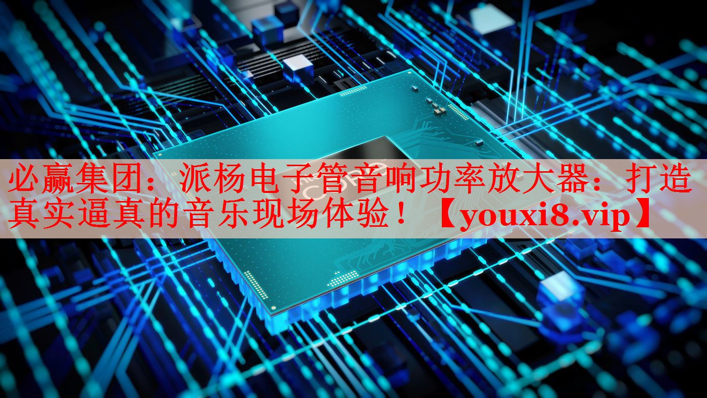 必赢集团：派杨电子管音响功率放大器：打造真实逼真的音乐现场体验！