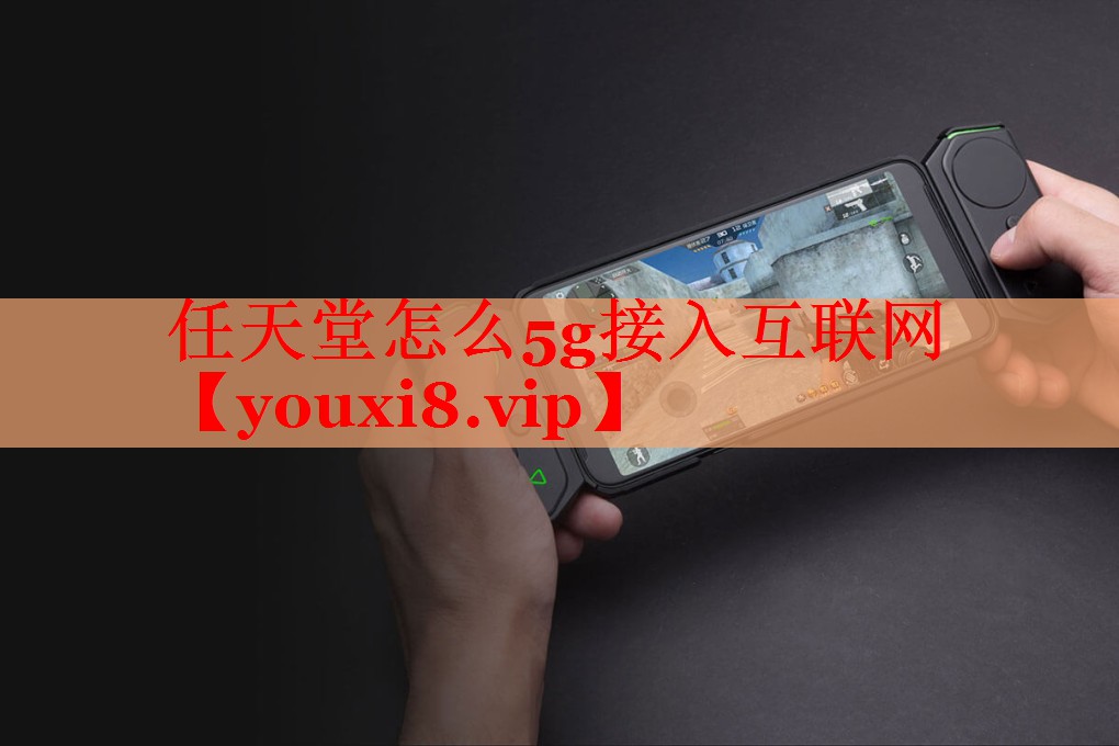 任天堂怎么5g接入互联网 任天堂怎么5g接入互联网