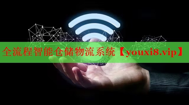 全流程智能仓储物流系统 全流程智能仓储物流系统