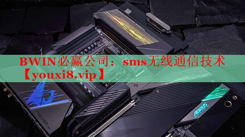 sms无线通信技术 sms无线通信技术