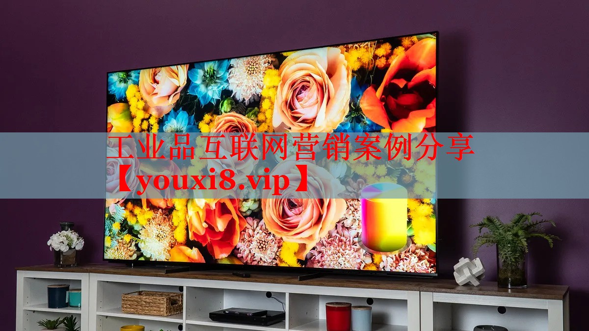 工业品互联网营销案例分享 工业品互联网营销案例分享