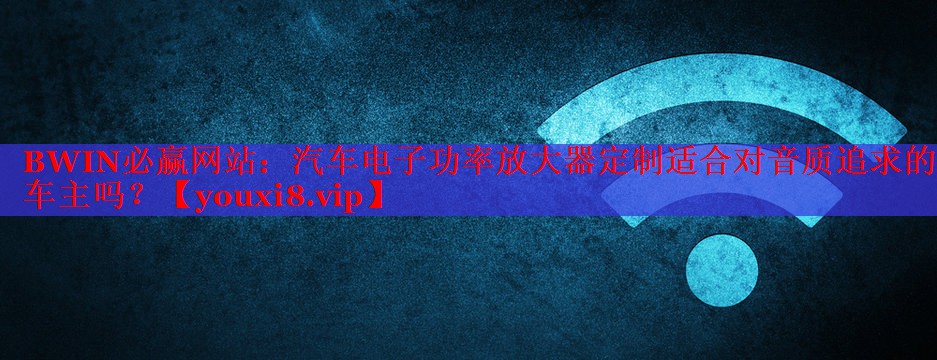 汽车电子功率放大器定制适合对音质追求的车主吗? 汽车电子功率放大器定制适合对音质追求的车主吗?