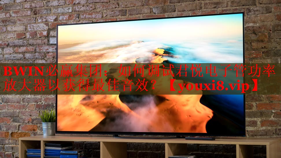 如何调试君悦电子管功率放大器以获得最佳音效? 如何调试君悦电子管功率放大器以获得最佳音效?