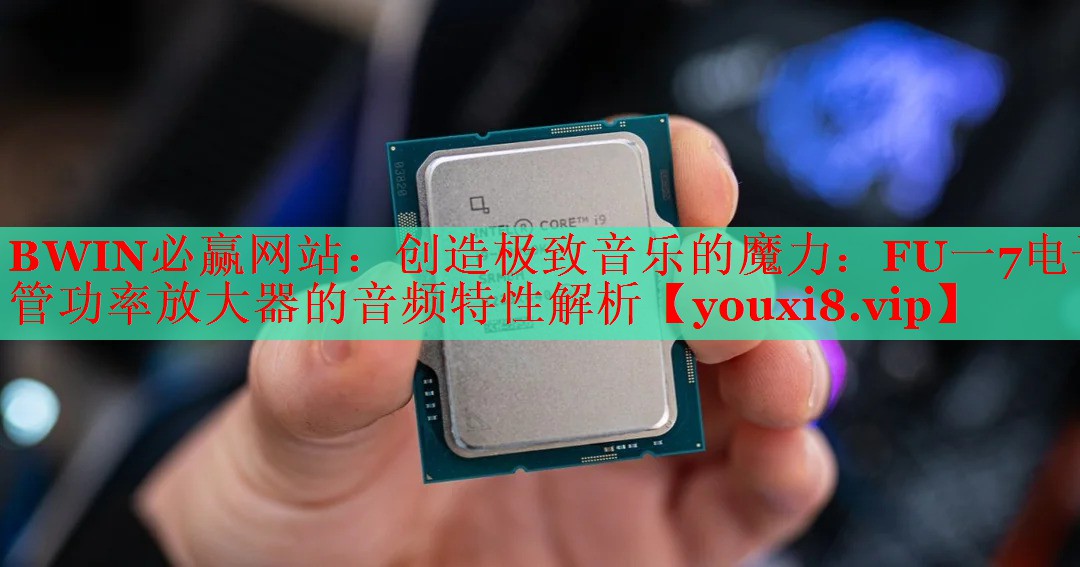 创造极致音乐的魔力:FU一7电子管功率放大器的音频特性解析 创造极致音乐的魔力:FU一7电子管功率放大器的音频特性解析