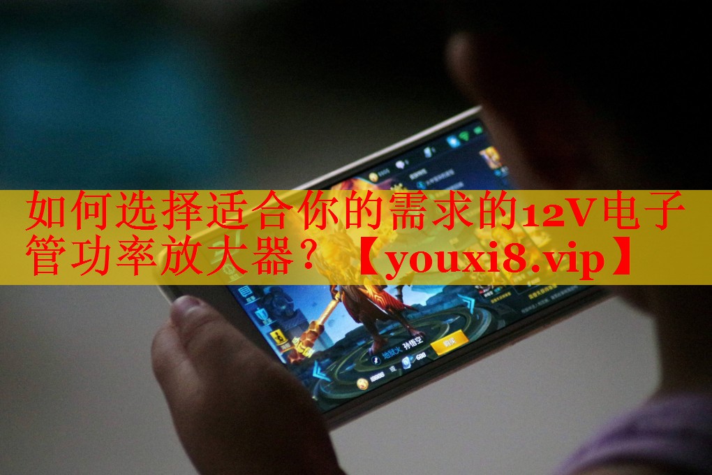 如何选择适合你的需求的12V电子管功率放大器? 如何选择适合你的需求的12V电子管功率放大器?