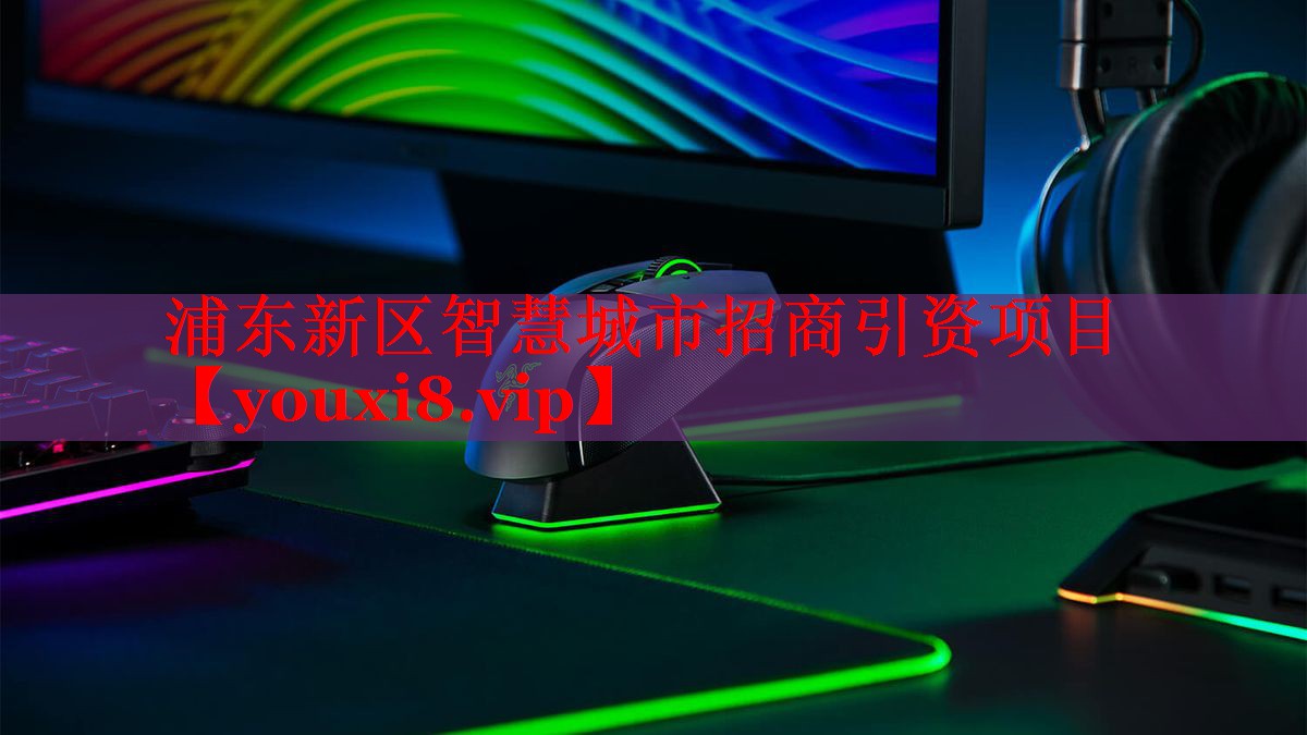 浦东新区智慧城市招商引资项目 浦东新区智慧城市招商引资项目