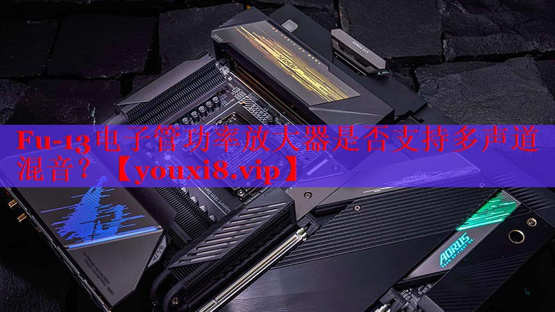 Fu-13电子管功率放大器是否支持多声道混音? Fu-13电子管功率放大器是否支持多声道混音?