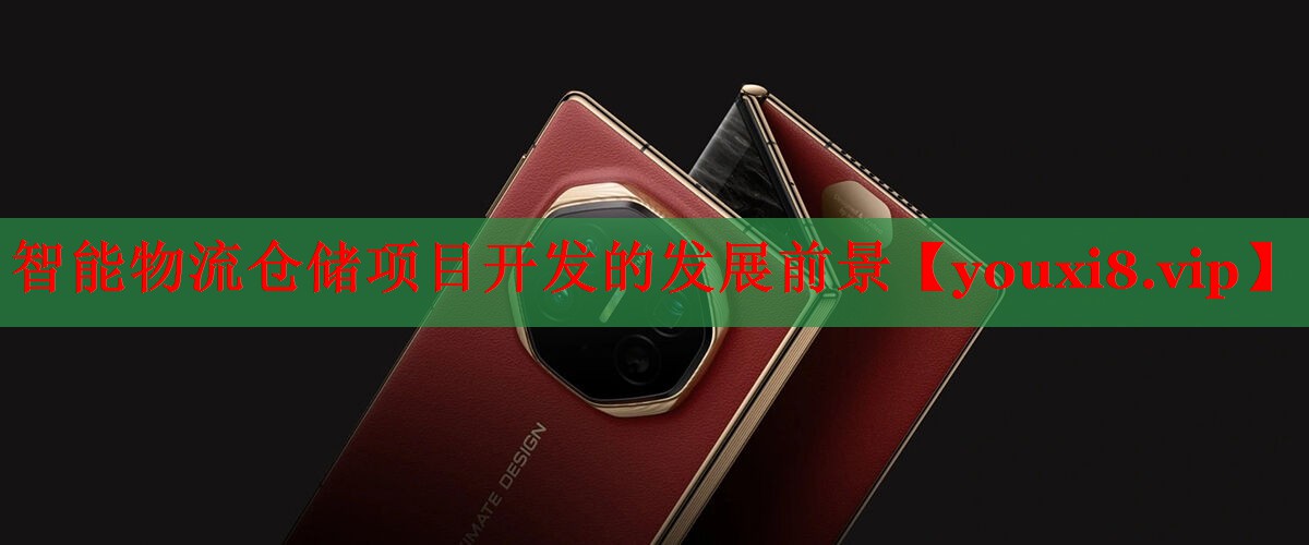 智能物流仓储项目开发的发展前景 智能物流仓储项目开发的发展前景