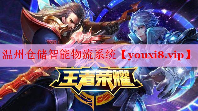温州仓储智能物流系统 温州仓储智能物流系统