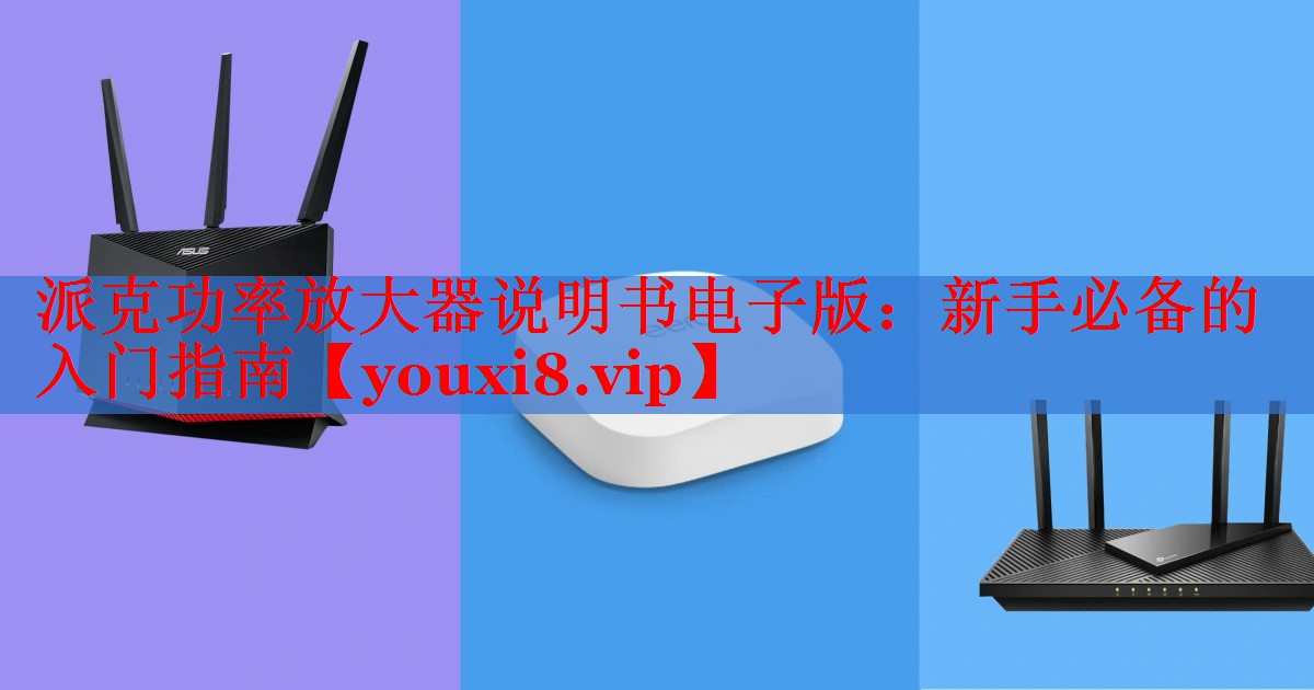 派克功率放大器说明书电子版:新手必备的入门指南 派克功率放大器说明书电子版:新手必备的入门指南