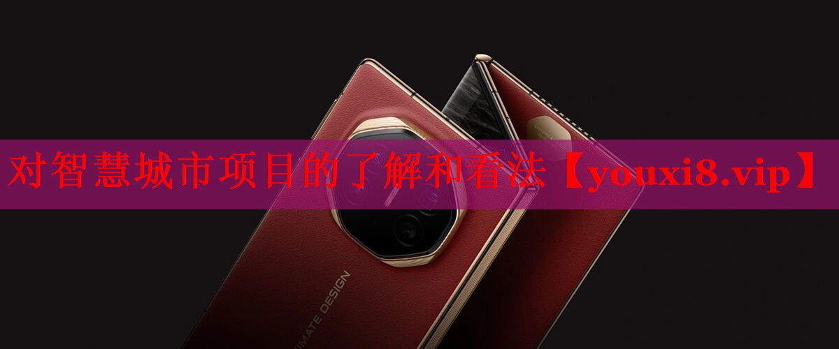 对智慧城市项目的了解和看法 对智慧城市项目的了解和看法