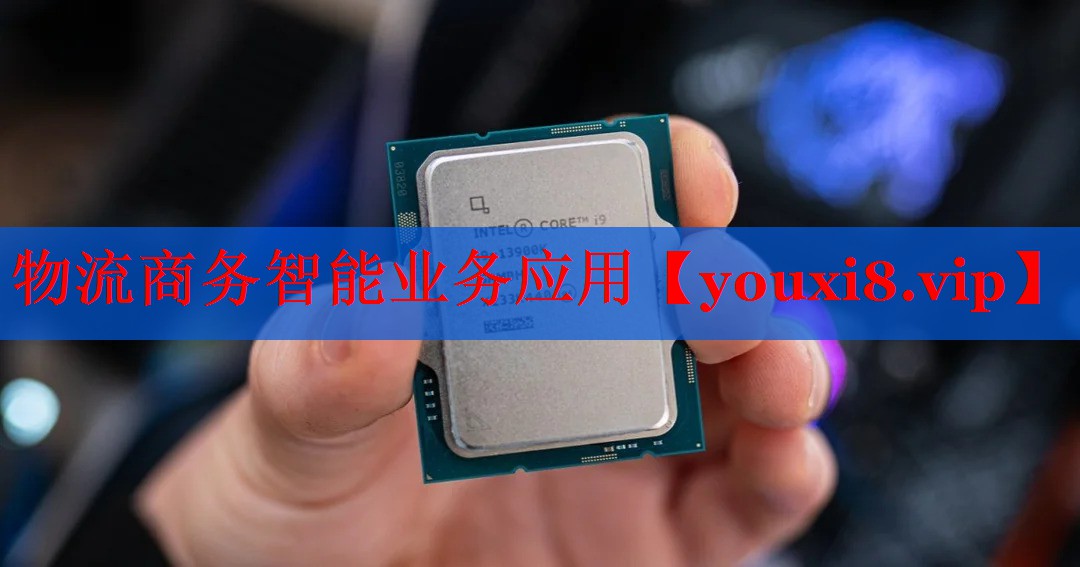 物流商务智能业务应用 物流商务智能业务应用