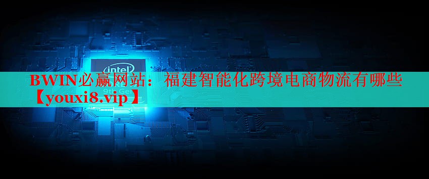 福建智能化跨境电商物流有哪些 福建智能化跨境电商物流有哪些