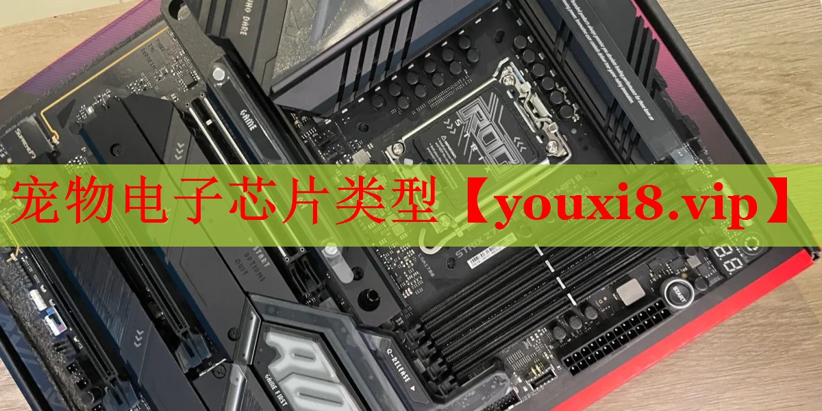 宠物电子芯片类型 宠物电子芯片类型